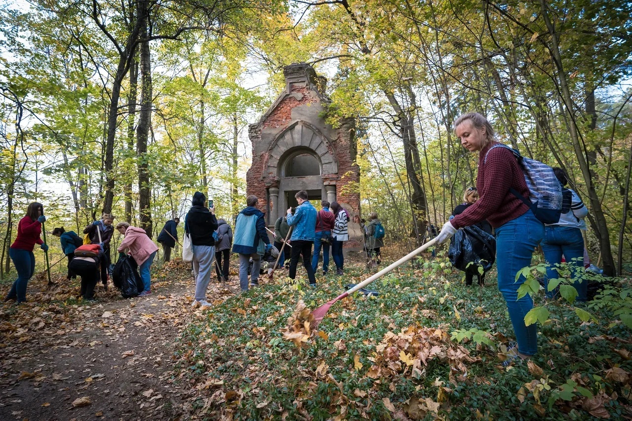 Сенницы